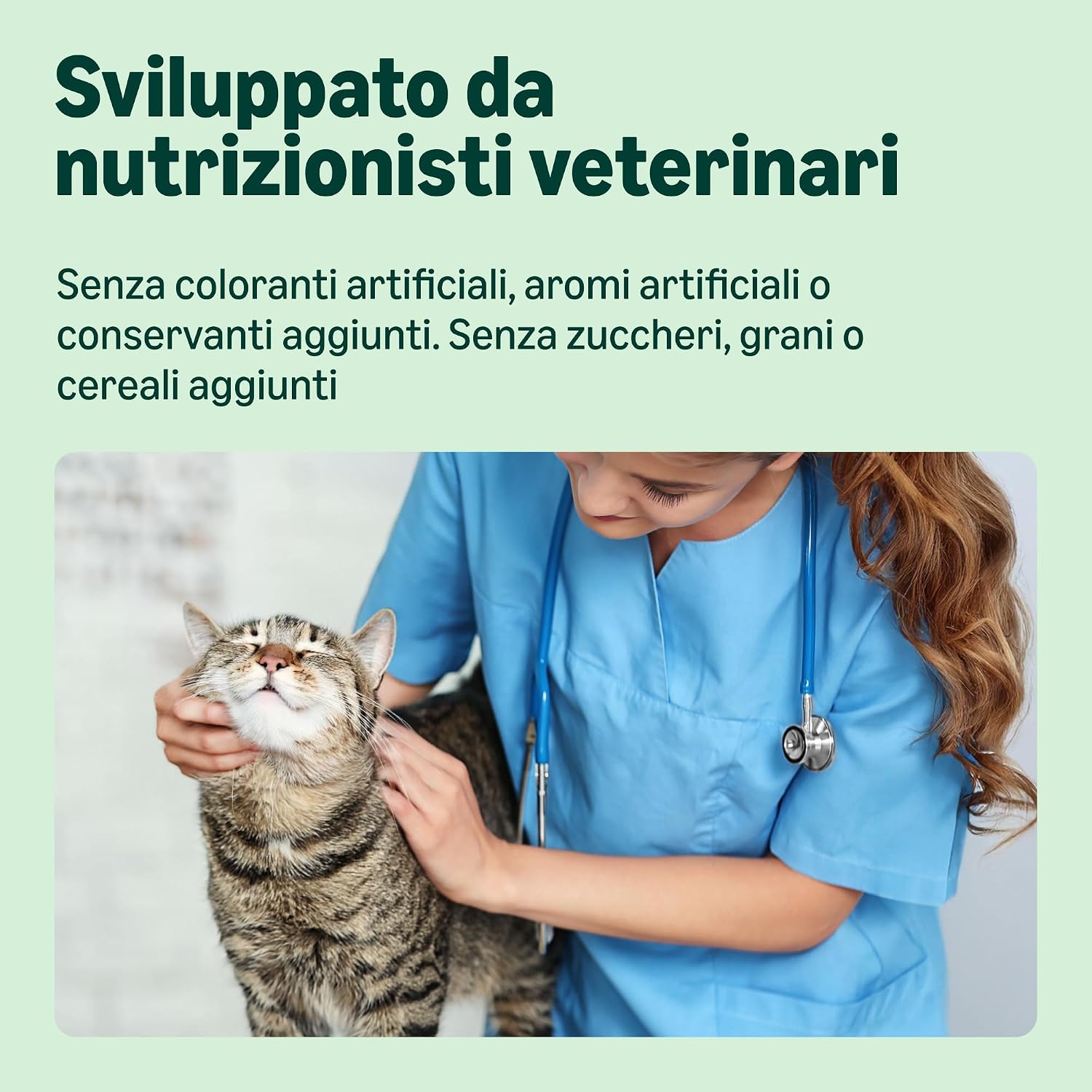 Thumbnail 3 de By Amazon Cibo Umido per Gatti – Paté di Manzo 100 g, confezione da 16