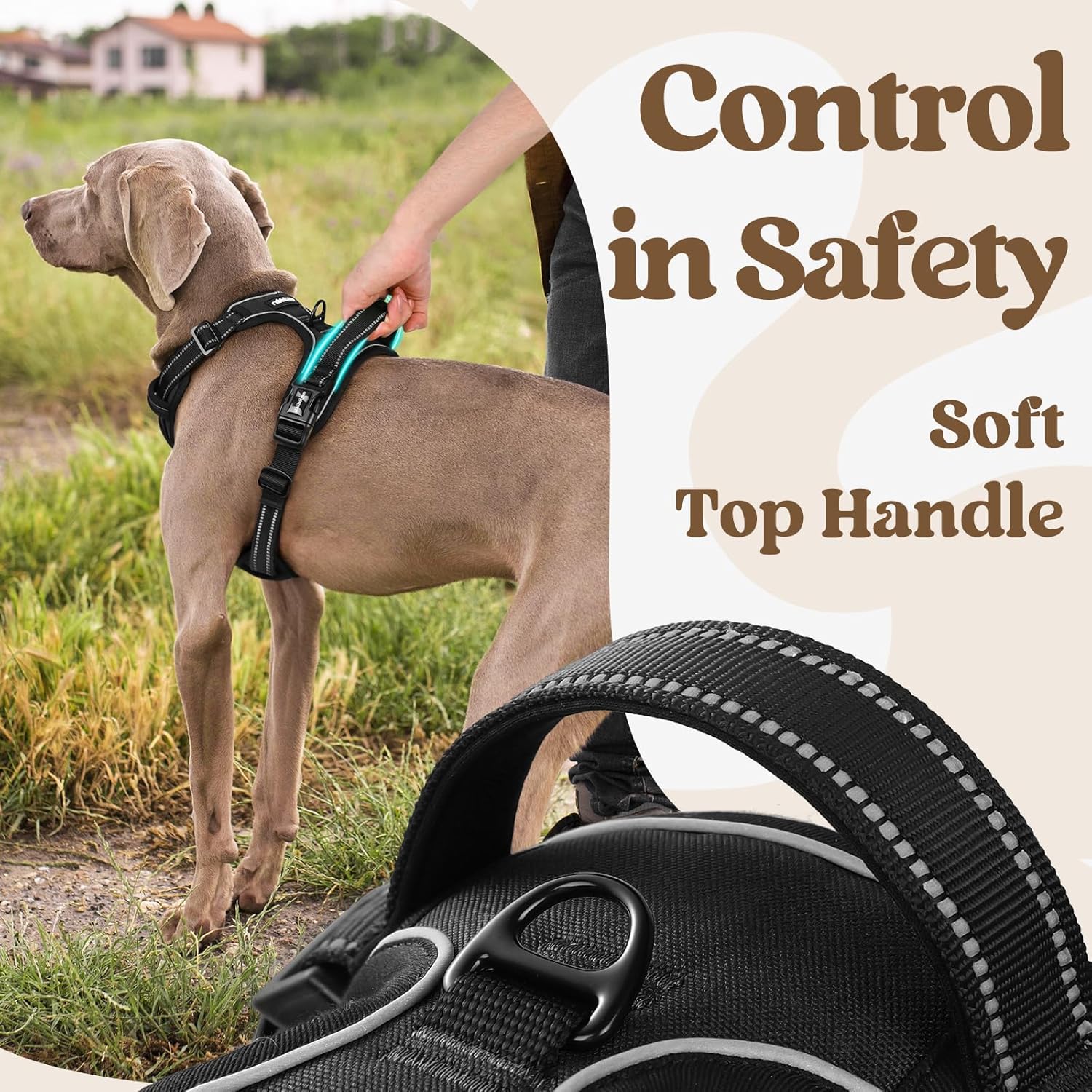 Thumbnail 3 de rabbitgoo Dog Harness for Large (XL) — No-Pull Adjustable Soft Padded Vest with 3 Buckles, Reflective Strips & Control Handle