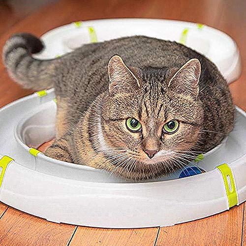 Detalle 2 de Ferplast Typhon circuito modular con bola LED para gatos 🐱
