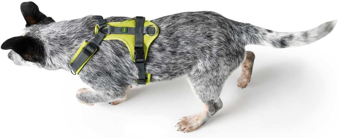 Detalle de HUNTER Geschirr Maldon 37-53/XS-S – robuster Y-Gurt für Freizeit, Training und Sport