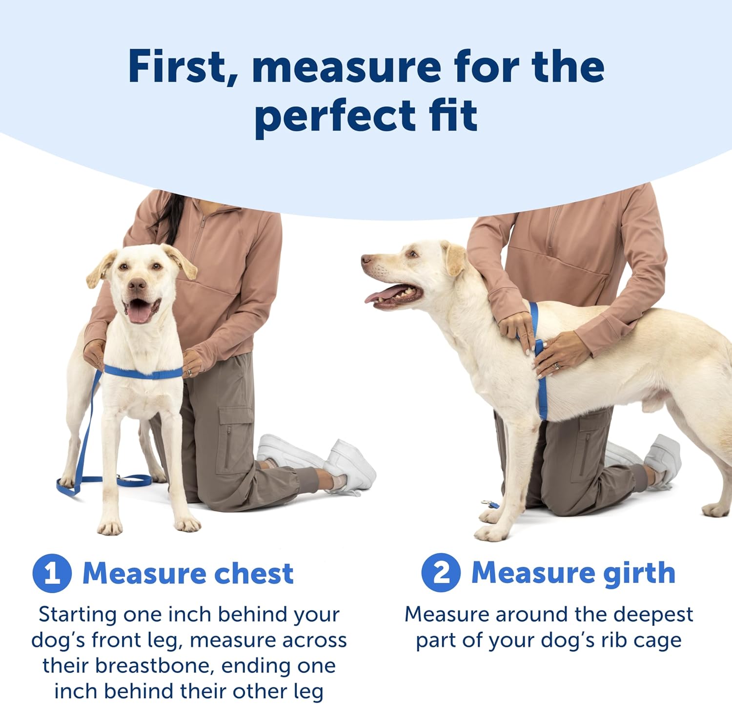 Detalle de PetSafe デラックス イージーウォークハーネス M 犬用 引っ張り防止・反射ステッチ付き
