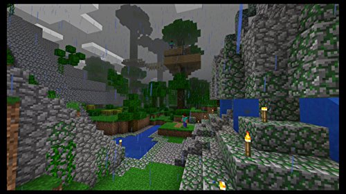 Detalle de Minecraft: Nintendo Switch Edition – Edición para Nintendo Switch