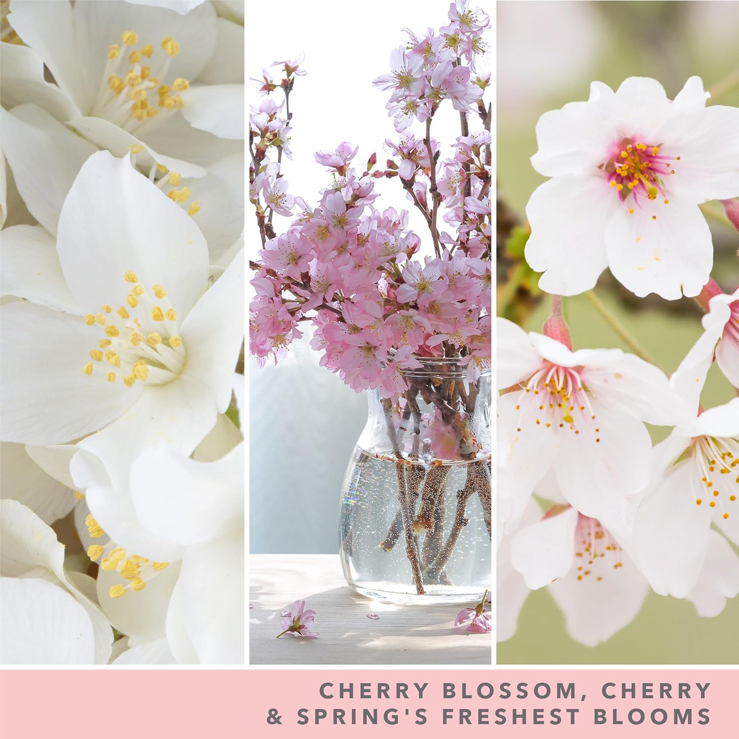 Thumbnail 1 de Yankee Candle Cherry Blossom Large Jar 150 hours 🕯