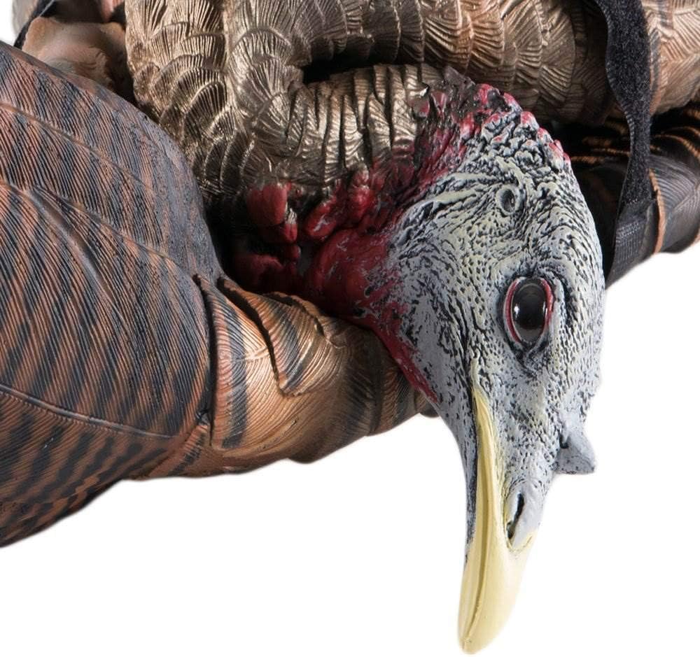 Detalle 1 de Avian-X feeder hen decoy