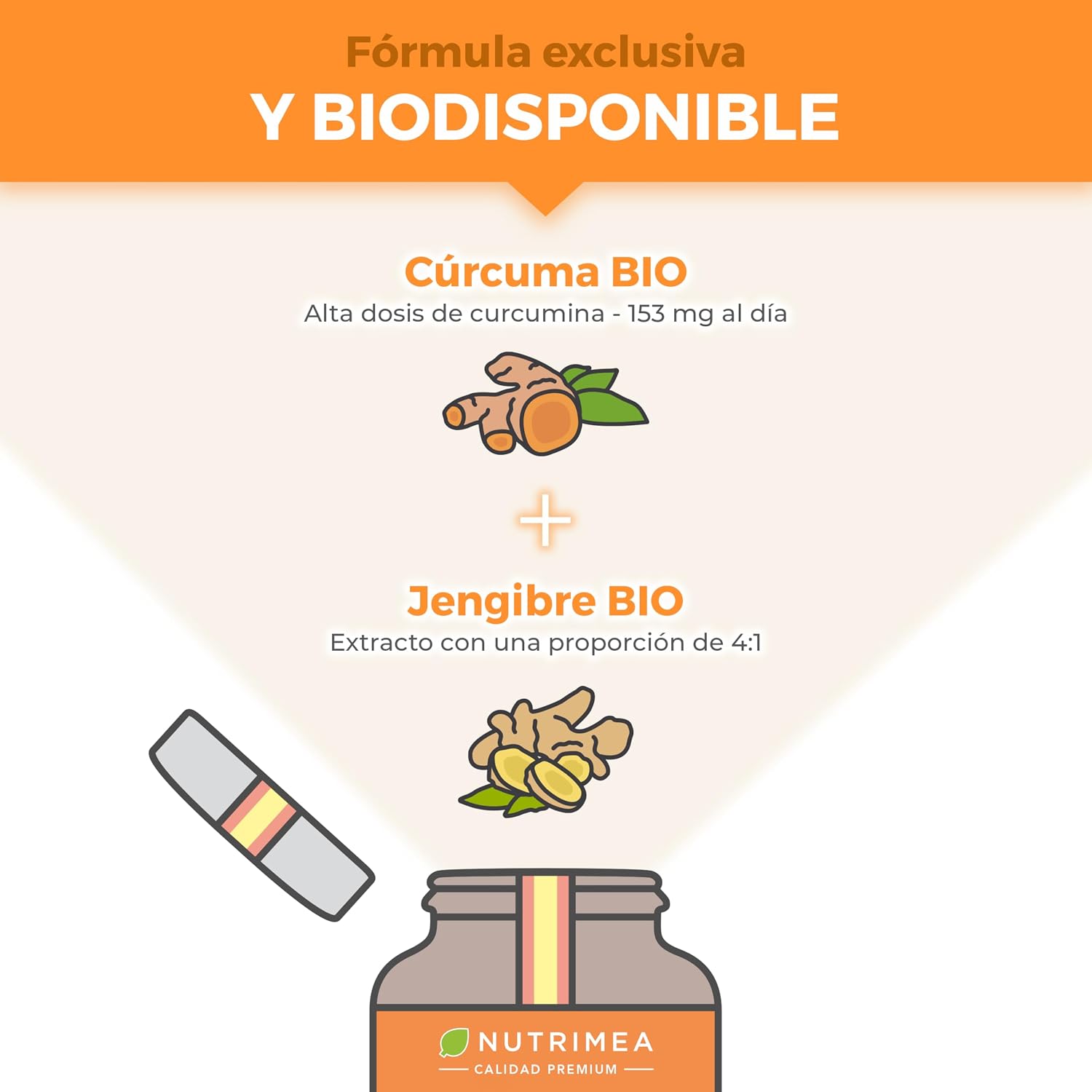 Detalle 2 de Nutrimea Cúrcuma con Jengibre 5635 mg