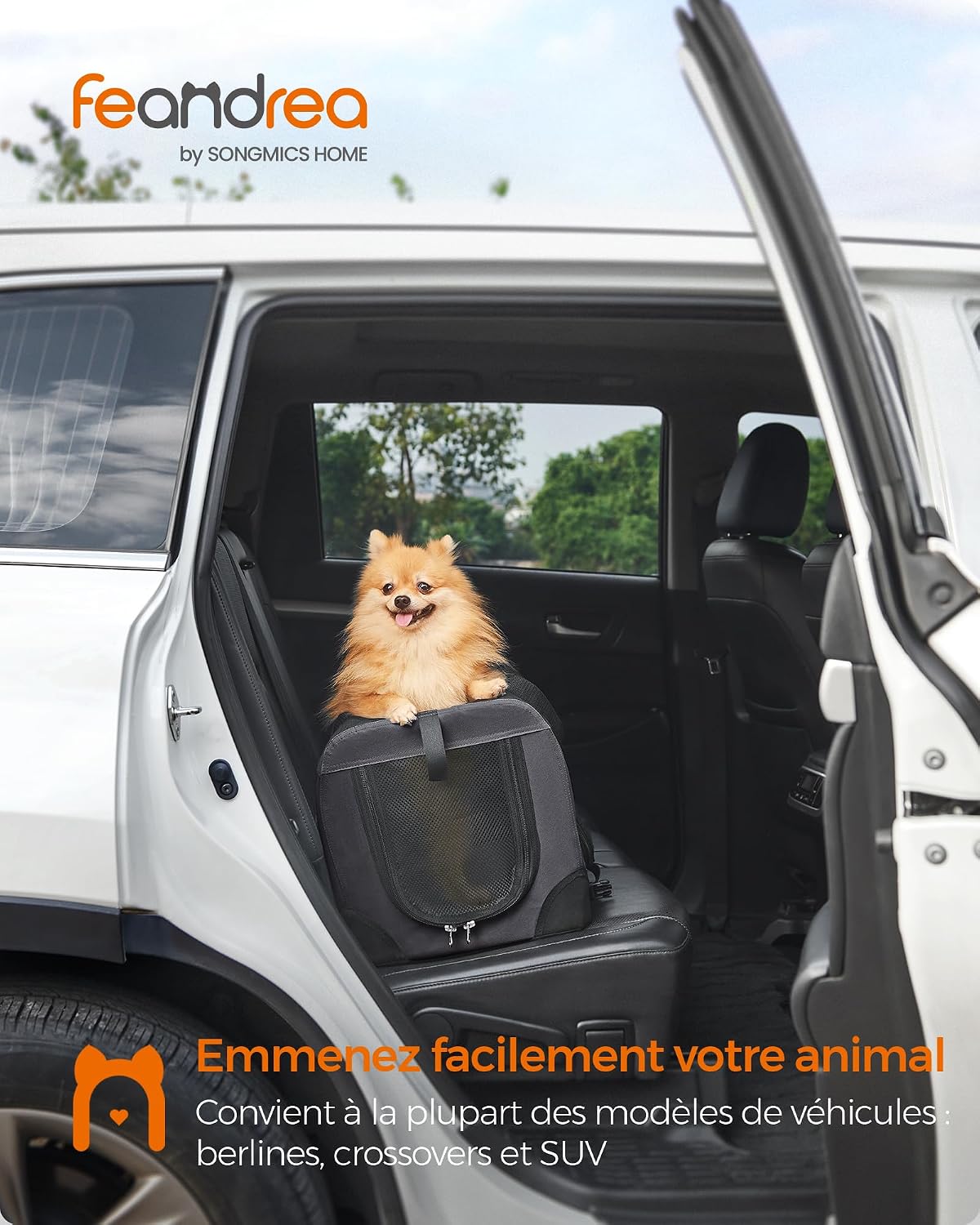 Detalle de Feandrea Sac Transport Chat Chien, Caisse Pliable 50x35x35 cm – Gris