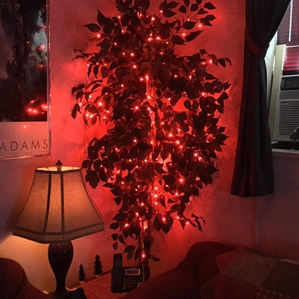 Thumbnail 3 de BOLWEO 3M 30LED Fairy Lights