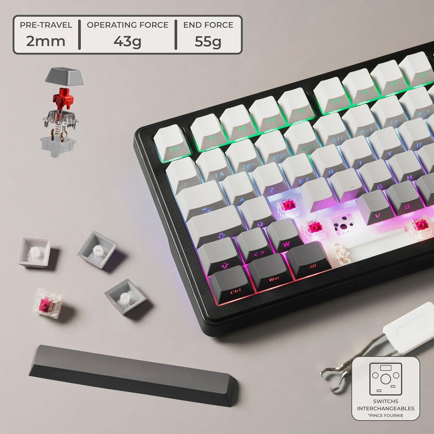 Detalle de The G-Lab KEYZ ELITE 300 GRG – klawiatura gamingowa 75% AZERTY, tri-mode, hot-swap