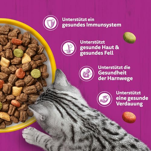 Thumbnail 4 de Whiskas Trockenfutter für ausgewachsene Katzen mit Huhn – 3,8 kg