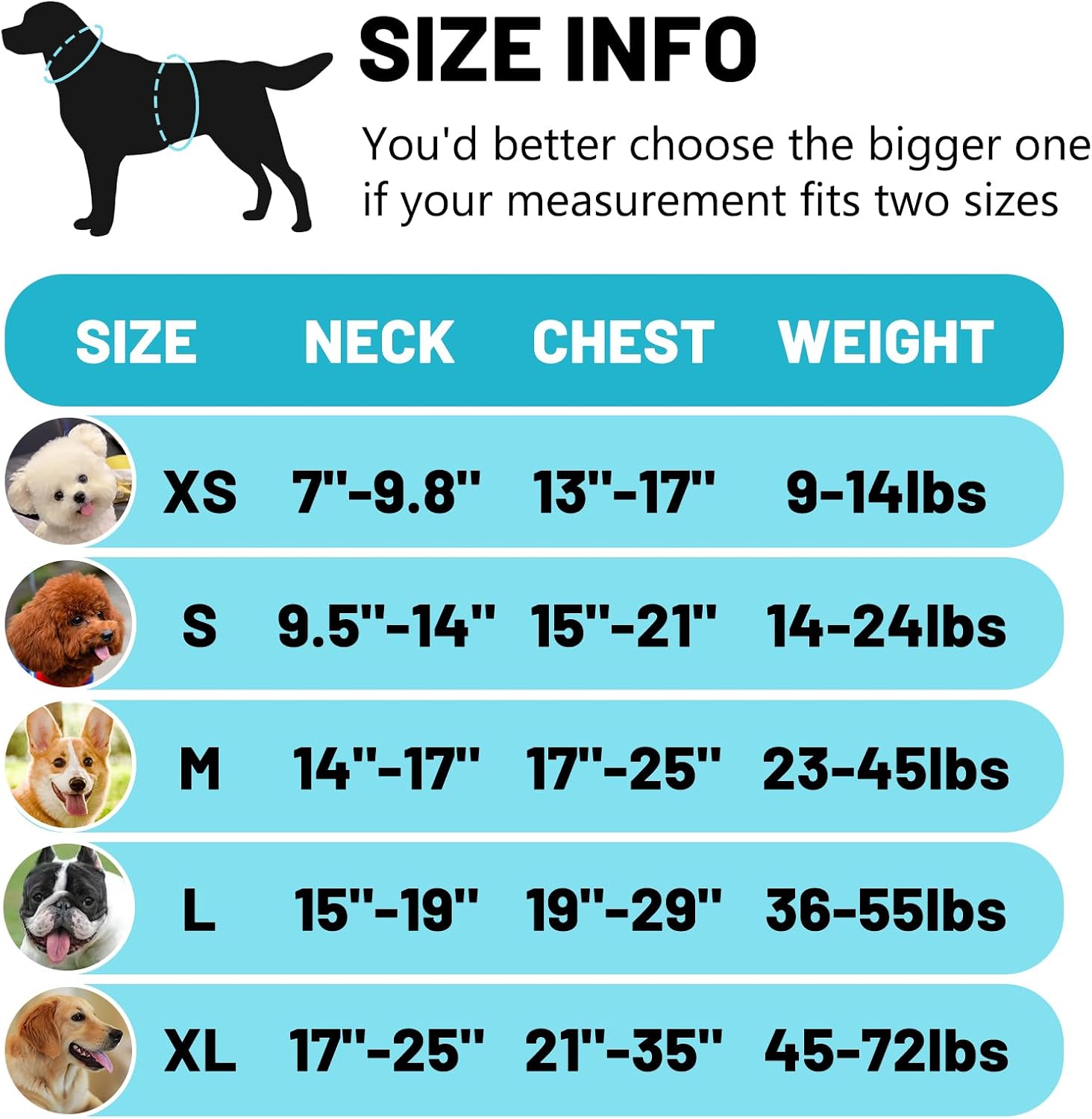 Detalle 2 de Belababy Soft No Pull Dog Harness XS (Light Blue) – Adjustable assistance service vest with safety buckle
