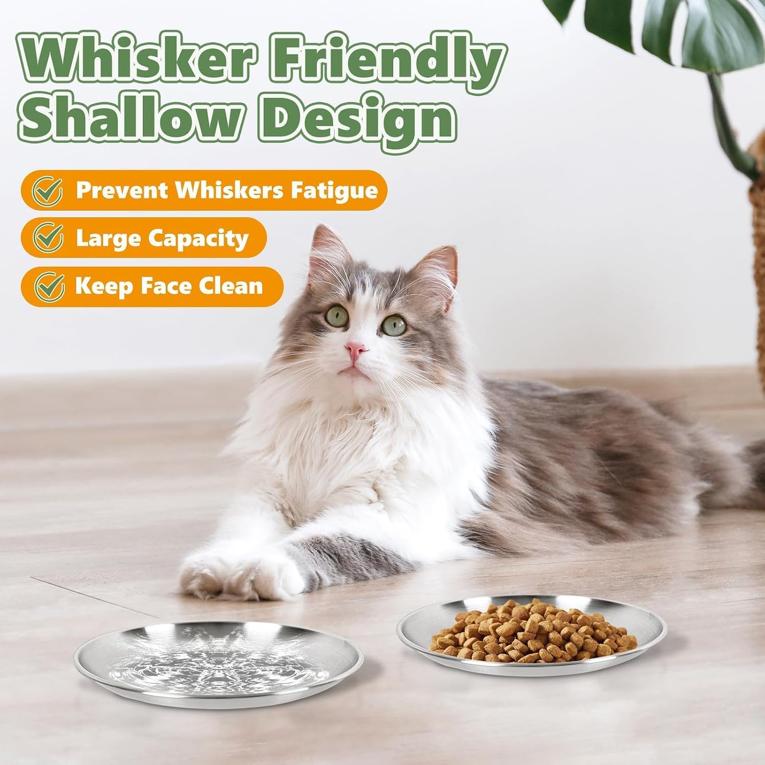 Thumbnail 6 de Petdream cd Stainless Steel Cat Bowls, 6.7-Inch Shallow Whisker-Friendly Plates