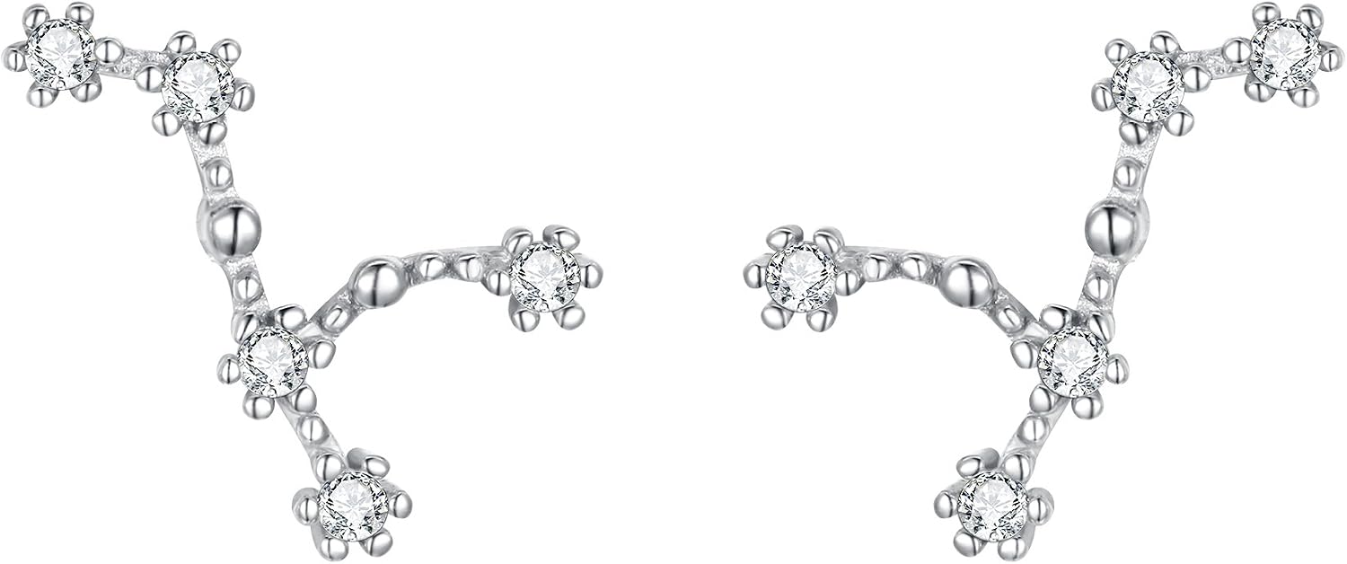 Detalle de Clearine Orecchini Argento 925 Zircone Oroscopo Zodiaco 12 Costellazione – Orecchini in fila