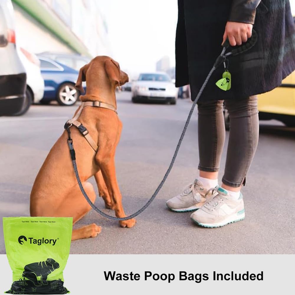 Thumbnail 1 de Taglory Hundeleine mit gepolstertem Griff, reflektierend, 120×1,0 cm (grau)