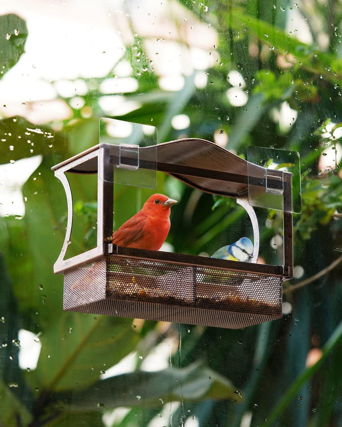 Thumbnail 6 de HouseSapp Fenster-Vogelfutterhaus 0,8 kg đŠ