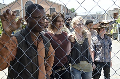 Thumbnail 3 de The Walking Dead: Temporada 4 en Blu-ray – Cameo