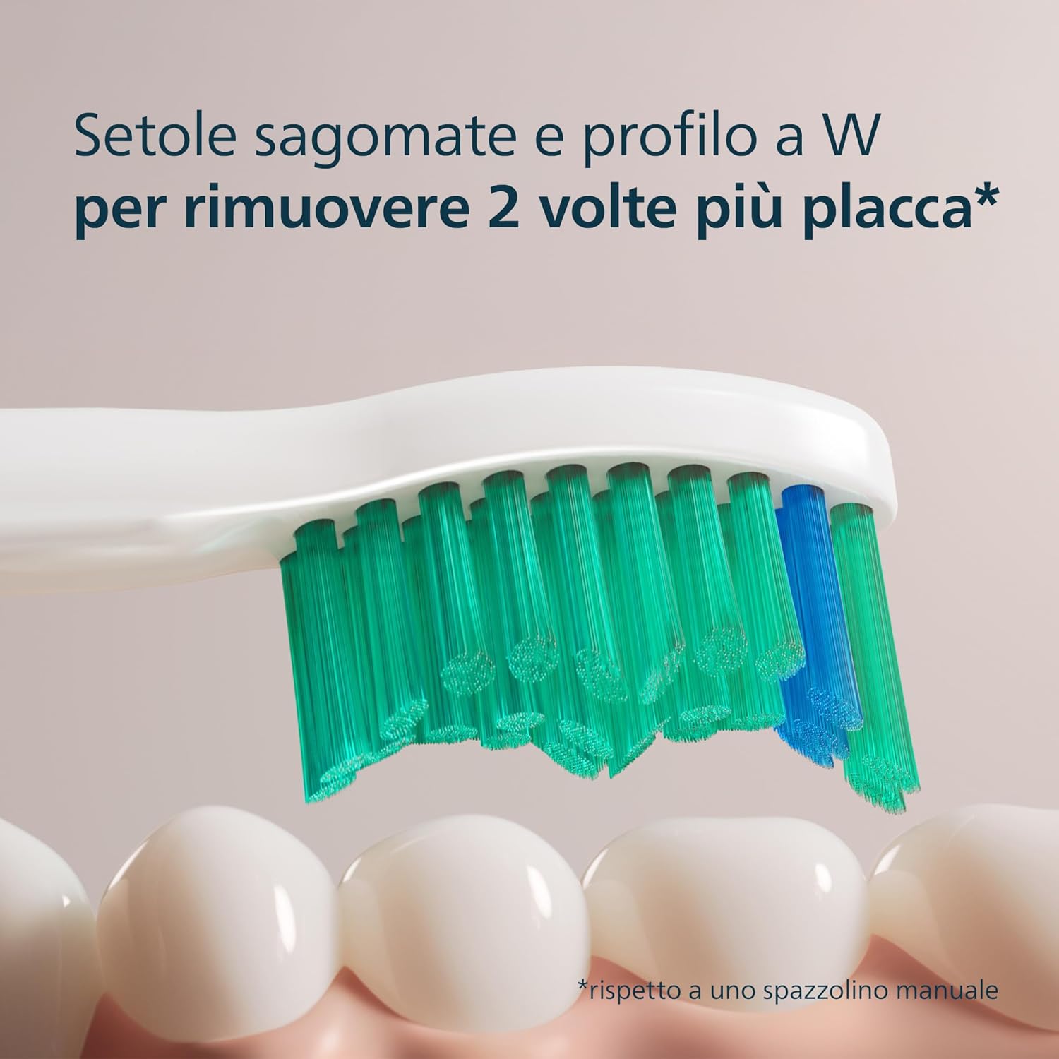 Detalle de PHILIPS Sonicare C1 ProResults 8 testine 🪥
