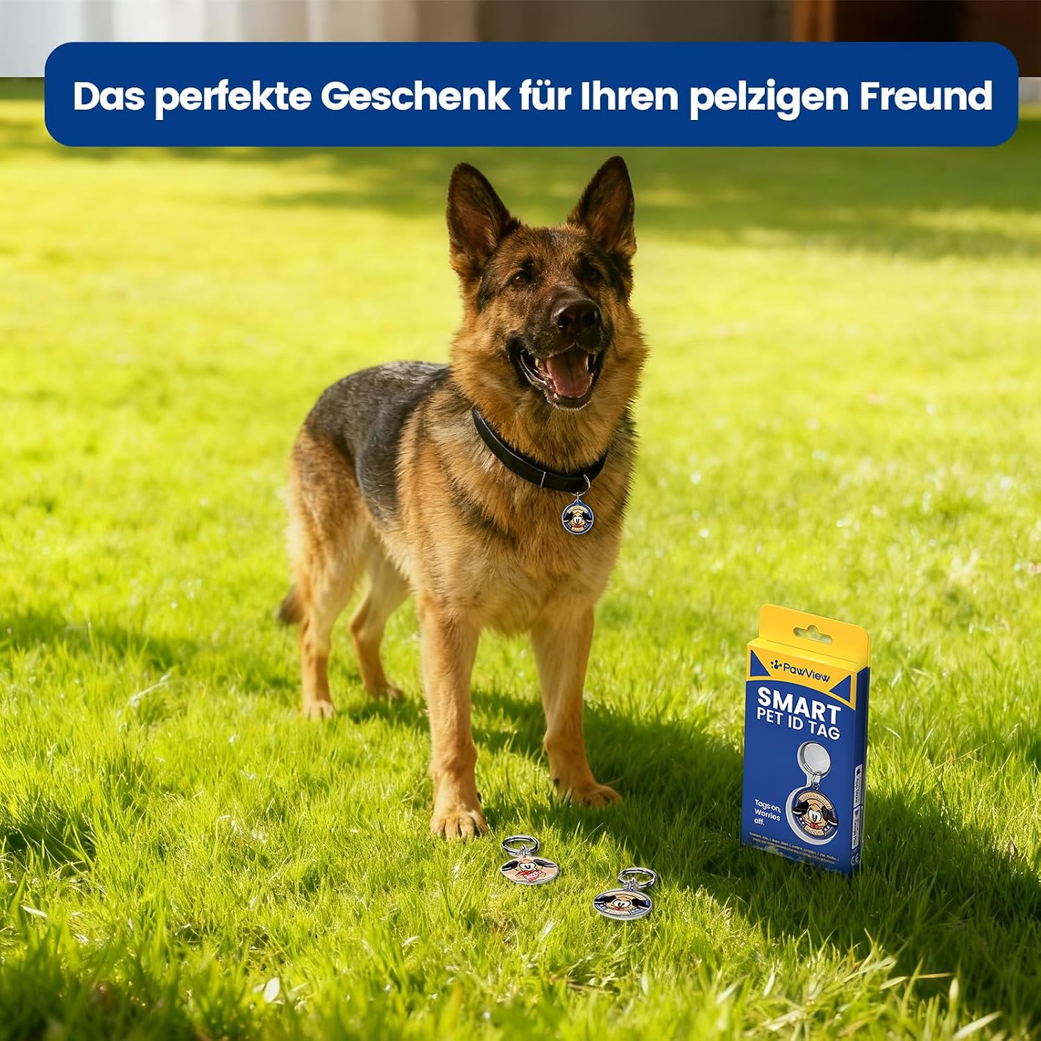 Detalle 2 de PawView QR-Hundemarke 2er Set 4,5 g