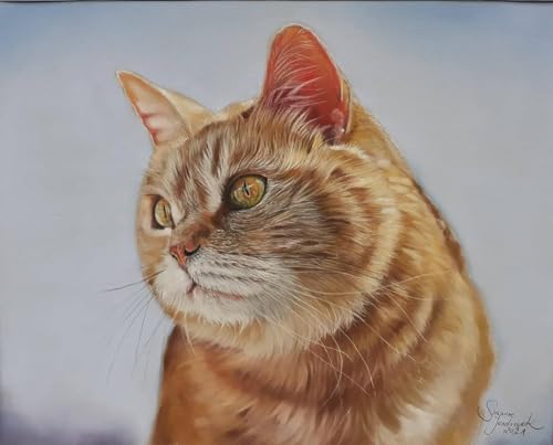 Thumbnail 4 de Clairefontaine Pastelmat Marrón 50x70 cm, Pack de 5🎨