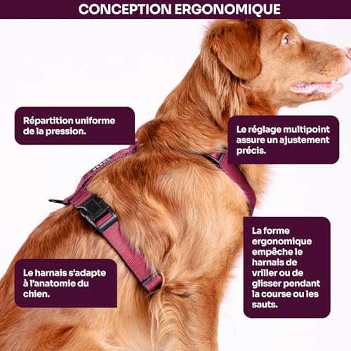 Detalle de Chaba Harnais Guard pour Petit Chien - 5 Points, Anti-Traction, Taille M, Bordeaux