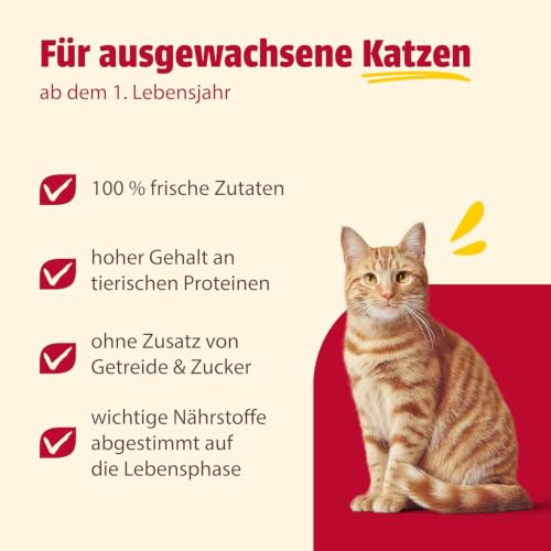 Detalle de animonda Carny Adult Nassfutter Huhn + Lachs – 6 x 400 g
