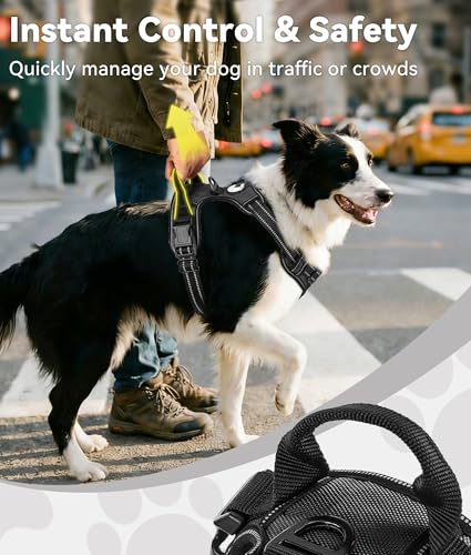Detalle de Joytale Anti-Traction, harnais pour chien taille M noir, réglable et réfléchissant