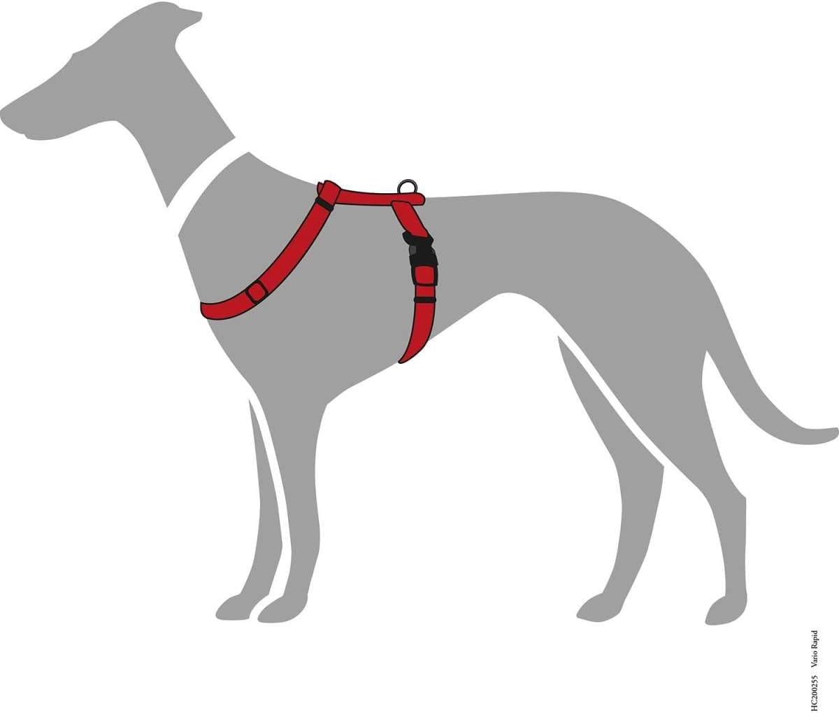 Thumbnail 1 de Geschirr Vario Rapid in Rot, Größe M – verstellbar mit Schnellverschluss