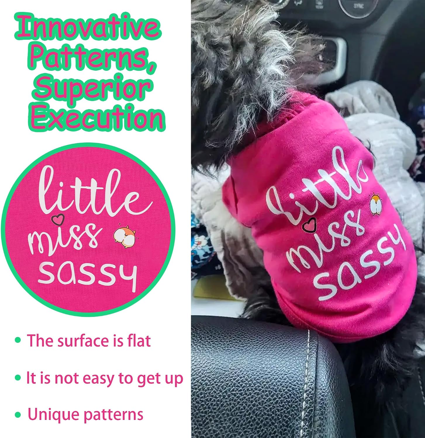 Detalle de Paiaite Dog Shirt XXL