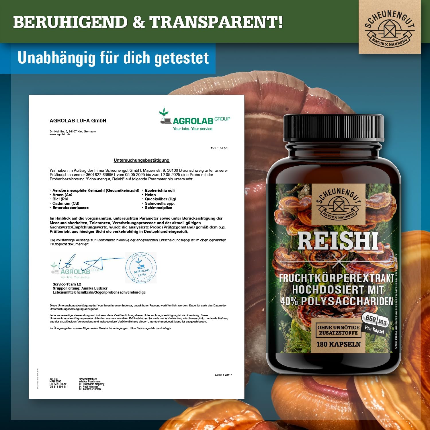 Thumbnail 6 de Reishi 1950mg Kapseln 20:1 Extrakt 🍄