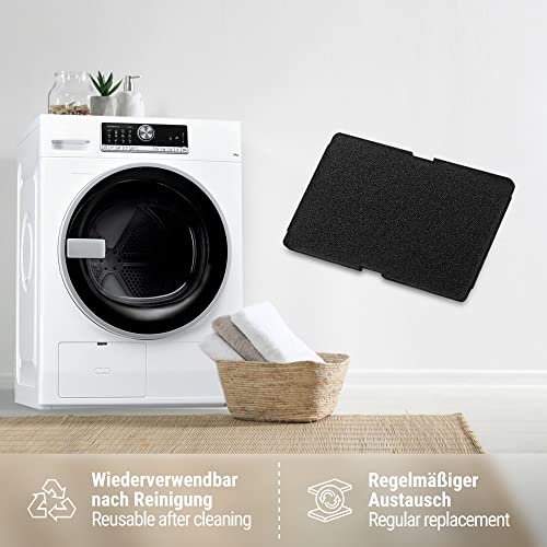 Detalle de Siegvoll filtres de sèche-linge 2964840100