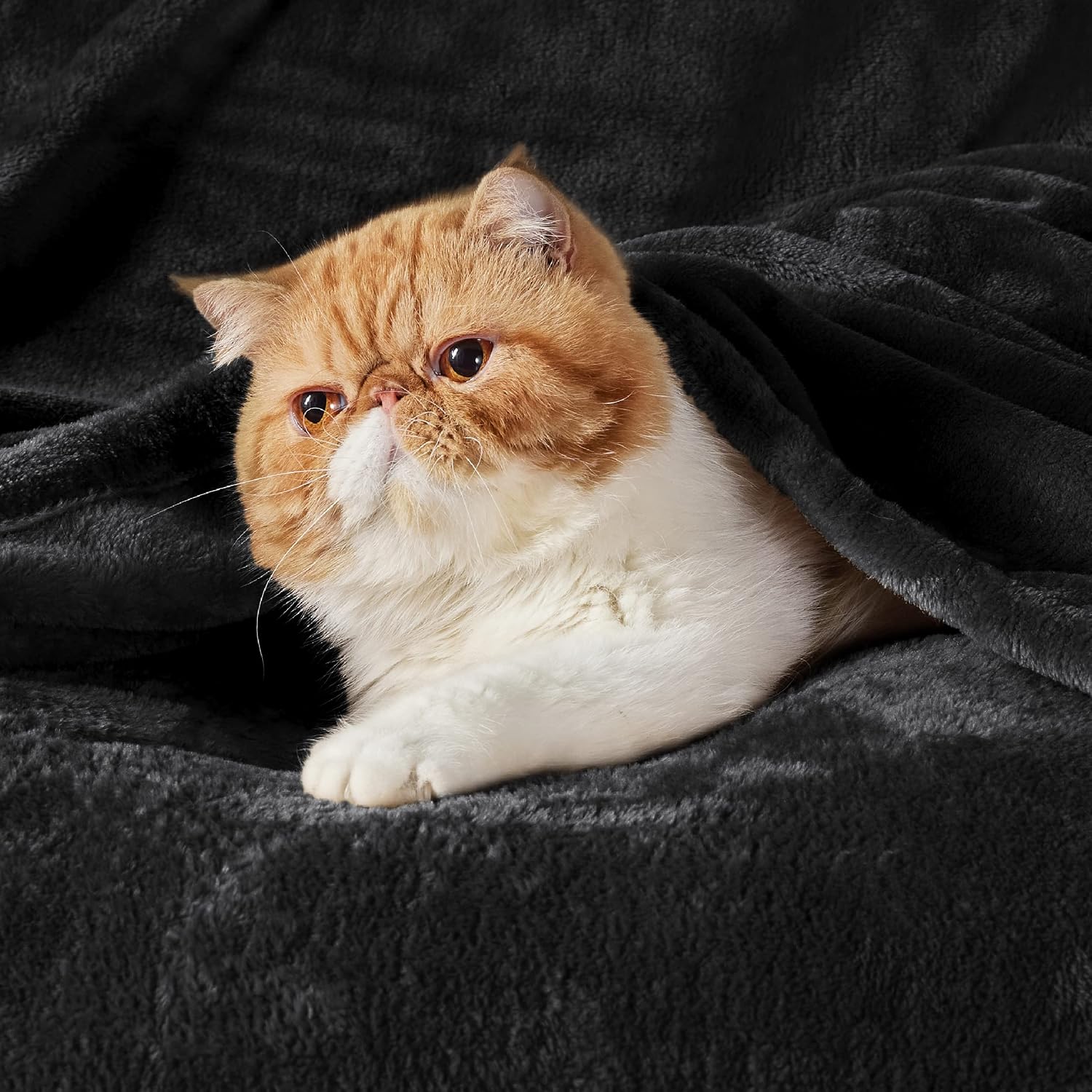 Thumbnail 1 de Bedsure Fleece Throw Blanket for Sofa – 130x150 cm, Black