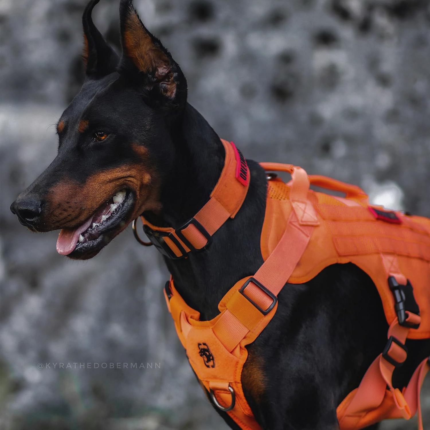 Detalle 2 de OneTigris No-Pull Hundegeschirr AIRE MESH