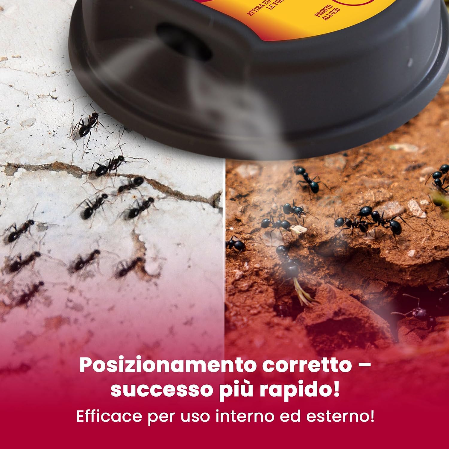 Detalle 2 de LERAVA Trappole Formiche per Casa – Esche insetticida potenti, sicure per bambini e animali