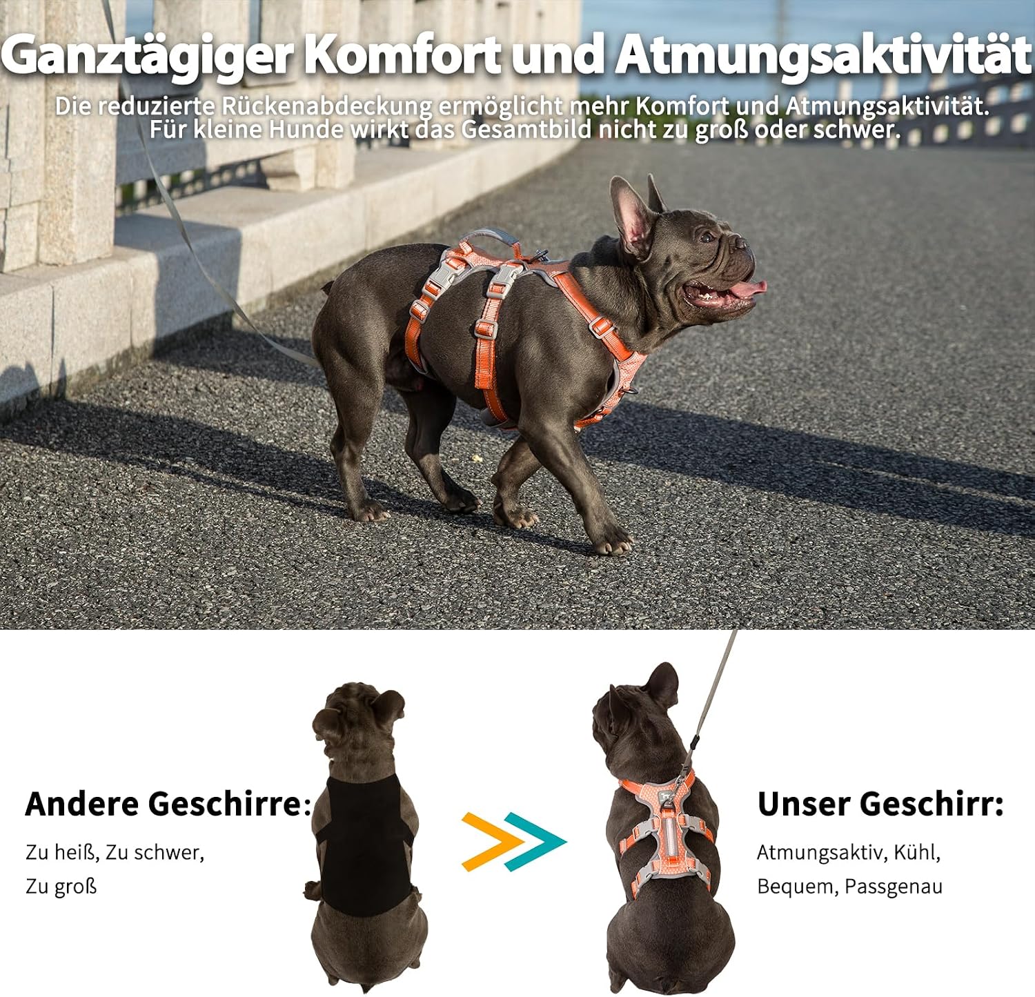 Thumbnail 5 de Huntboo Ausbruchsicheres Geschirr – Reflektierendes Hundegeschirr mit gepolstertem Griff (Orange, Größe M)