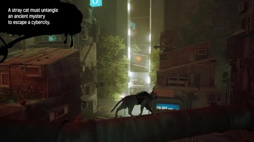 Detalle de Stray NINTENDO SWITCH cifra Skybound Games