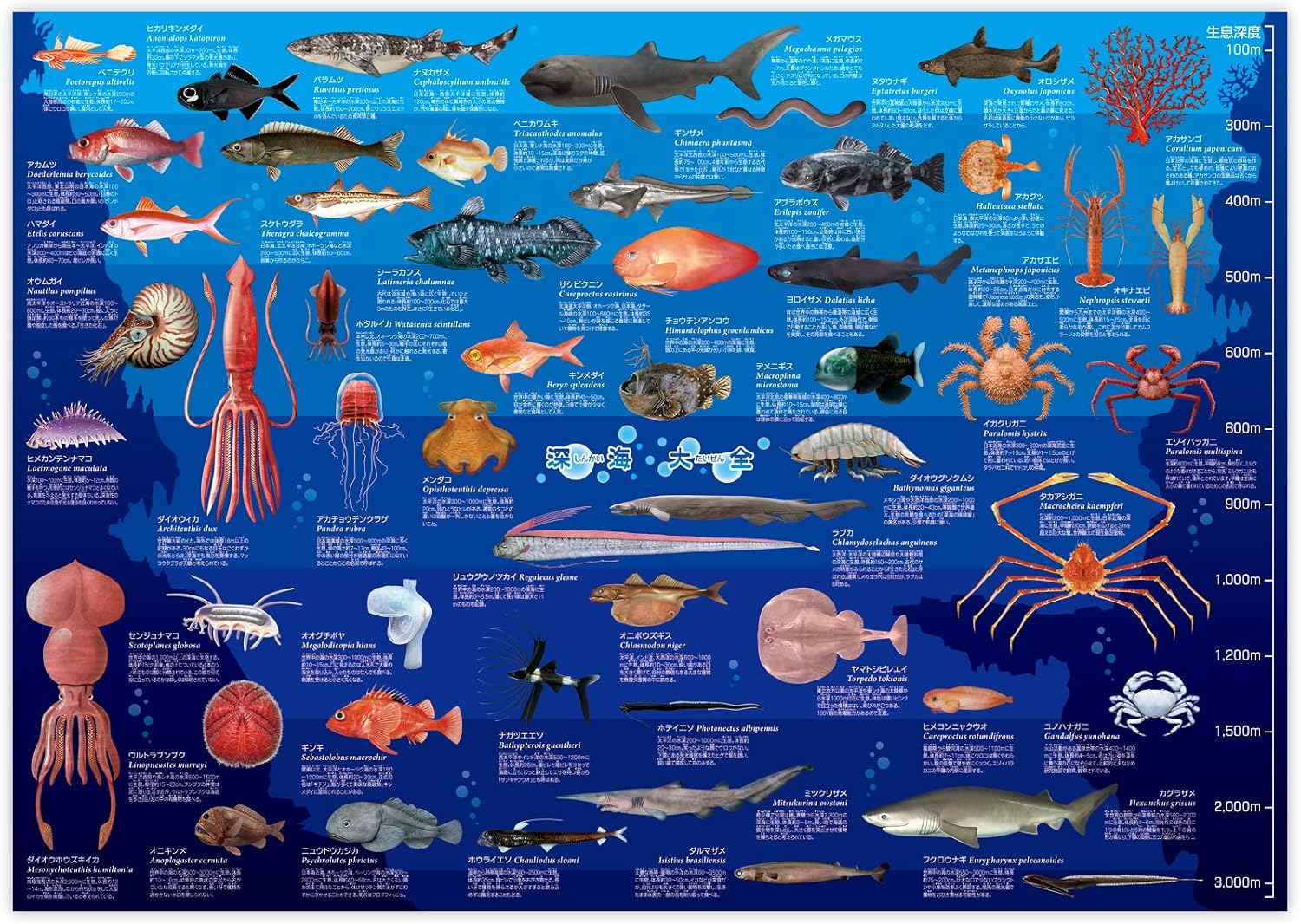 Detalle de ザ・アクセス 深海大全ポスター A1耐水仕様、深海生物53種の図鑑風イラスト
