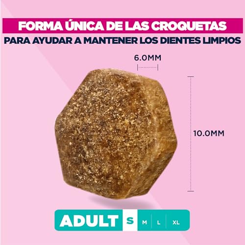 Detalle 2 de Eukanuba Alimento seco para perros pequeños con pollo fresco – 3 kg