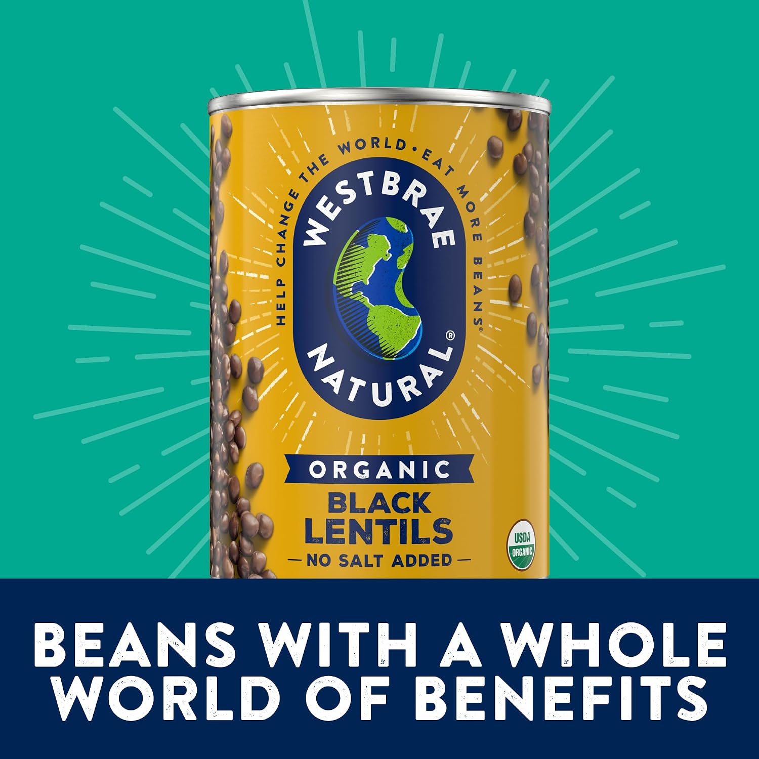 Detalle 1 de Westbrae Natural Organic Black Lentils, 12-Pack of 15 oz Cans