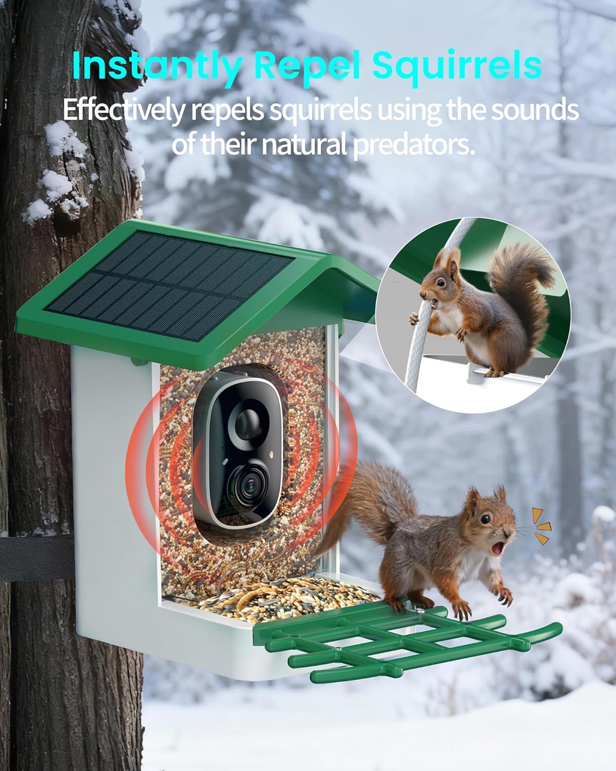 Thumbnail 6 de Smart Bird Feeder with Camera (G11) — 2K HD, Dual Granary, 16,000+ Bird ID, Solar Power