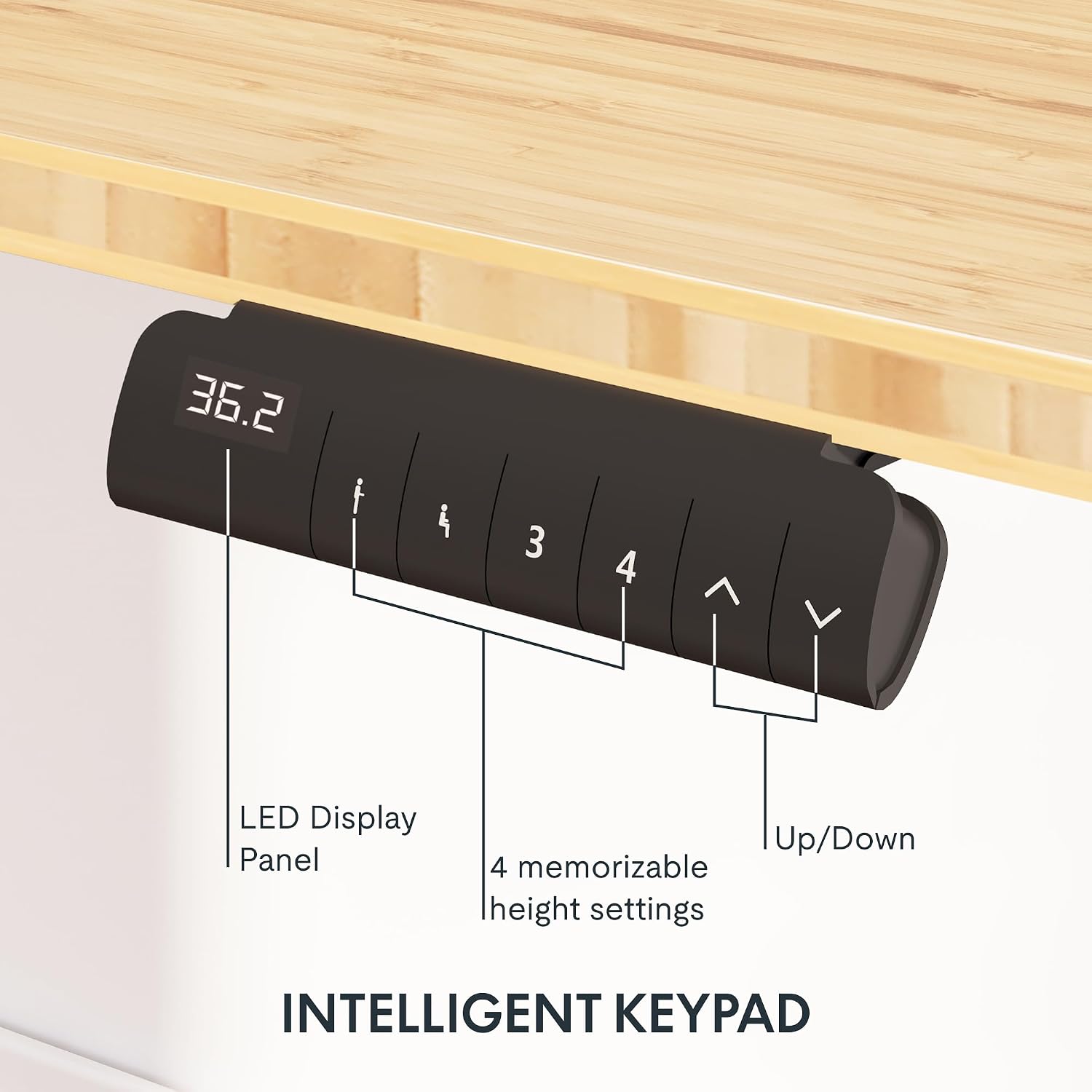Detalle 2 de FlexiSpot Electric Standing Desk, 55 x 28
