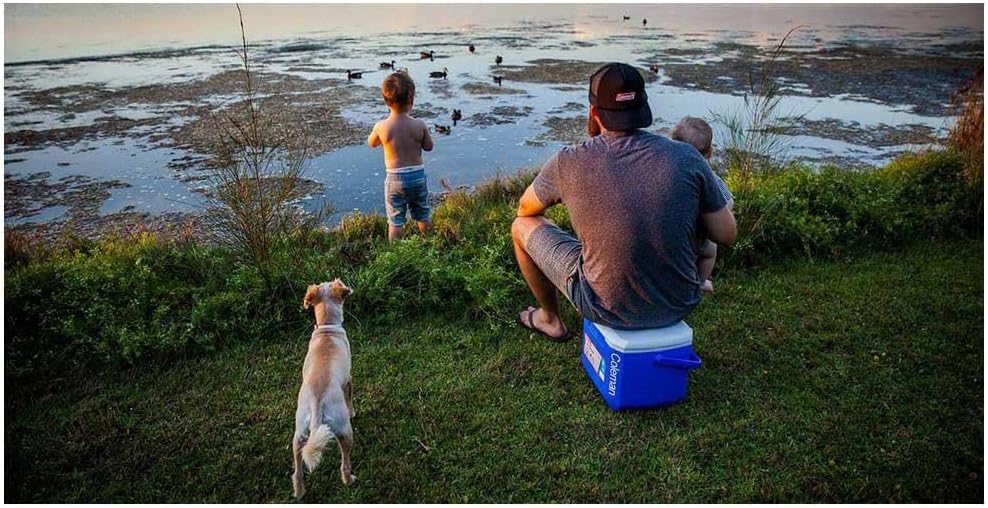 Thumbnail 3 de Coleman Igloo ghiacciaia 15 L: compatta, leggera e affidabile per campeggio e spiaggia