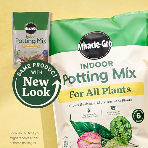 Detalle 2 de Miracle-Gro Indoor Plant Grow, Feed & Protect Bundle