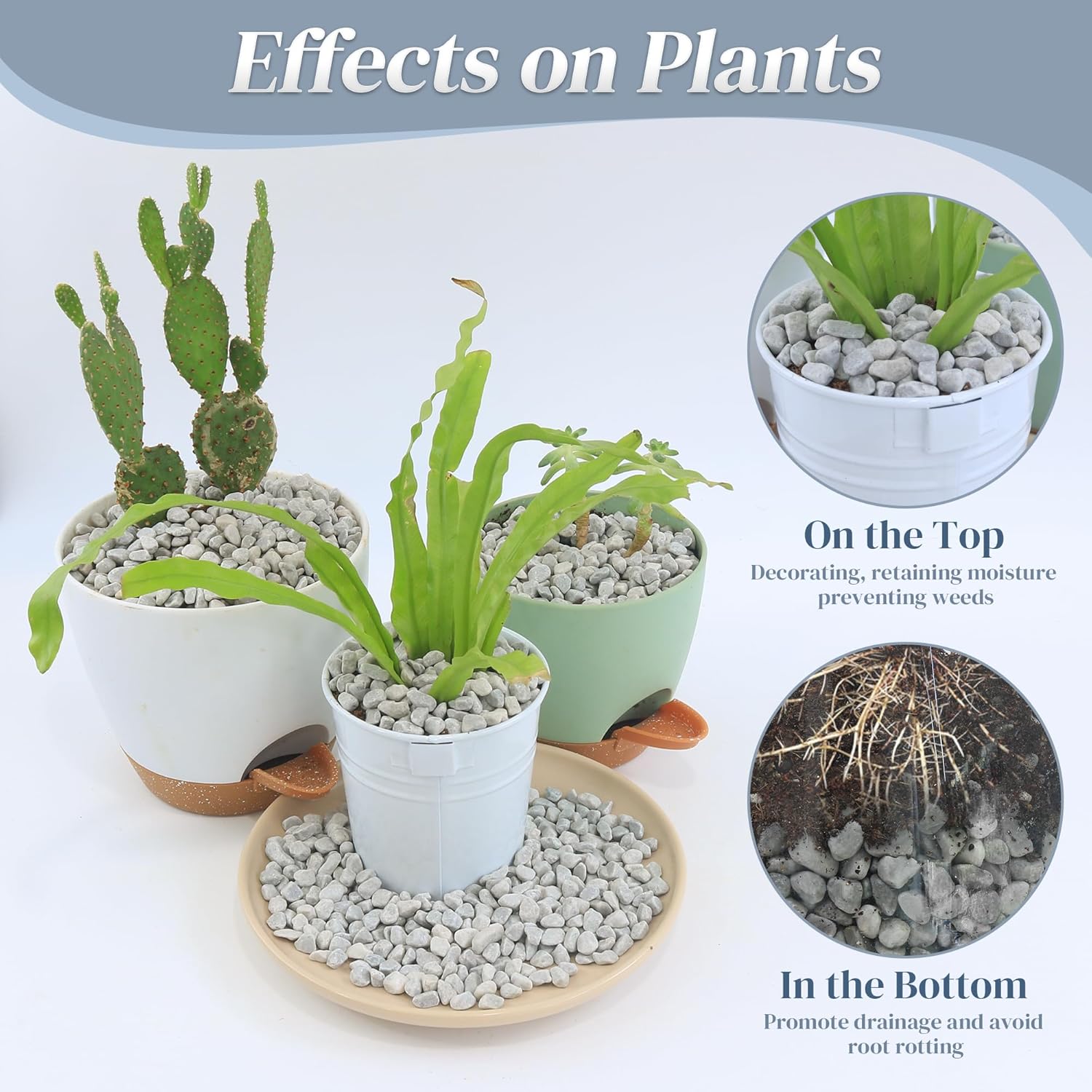 Thumbnail 3 de Quibbay 45LB Succulent Rocks 1/4 Inch Pebbles for Plants