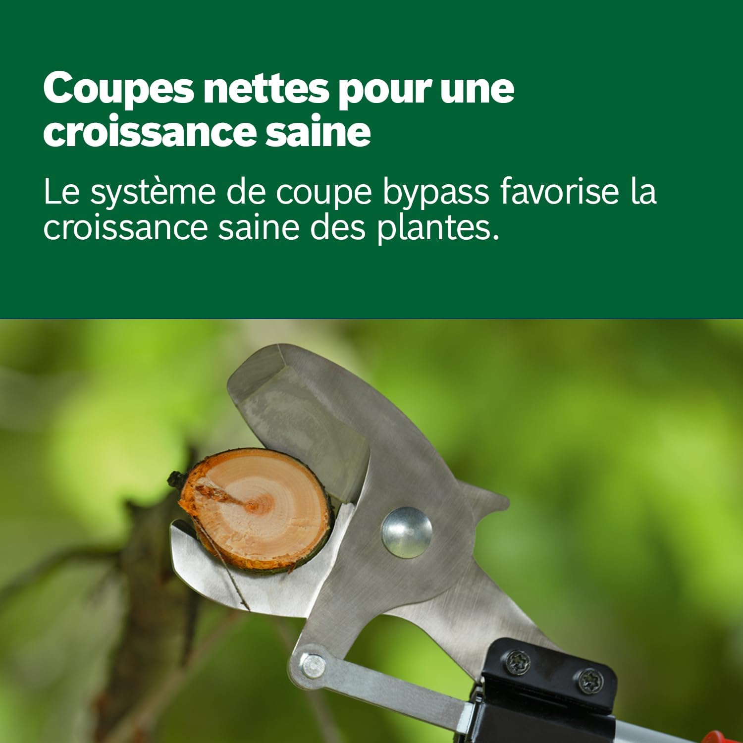 Thumbnail 5 de Sécateur sans fil Bosch AdvancedPrune 18V-45 avec barre d’extension (jusqu’à 45 mm)