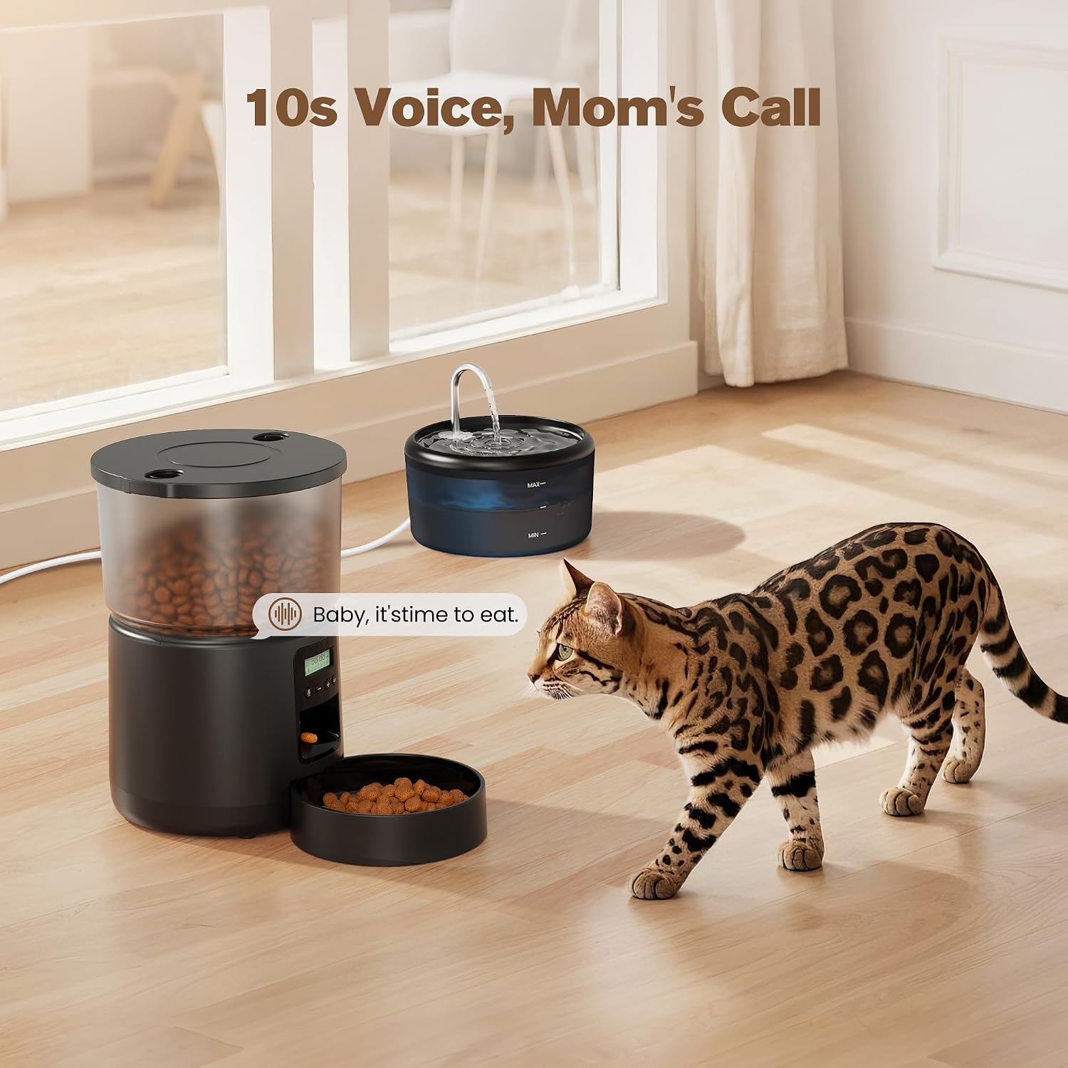 Thumbnail 3 de Distributore automatico cibo gatti 3L 🐱