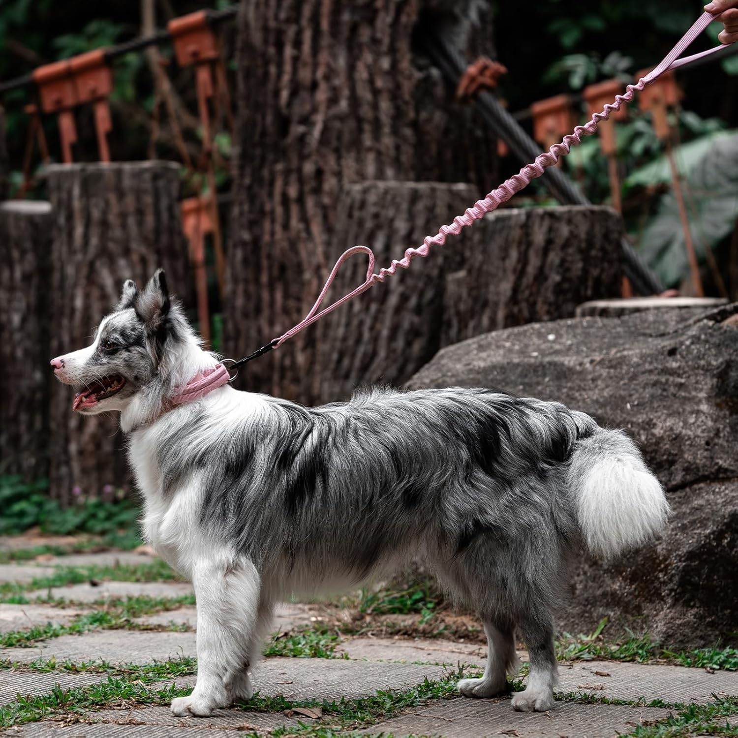 Detalle 2 de OneTigris Laisse pour chien à ressort 86–120 cm, nylon résistant avec clip en forme de dent de tigre – rose