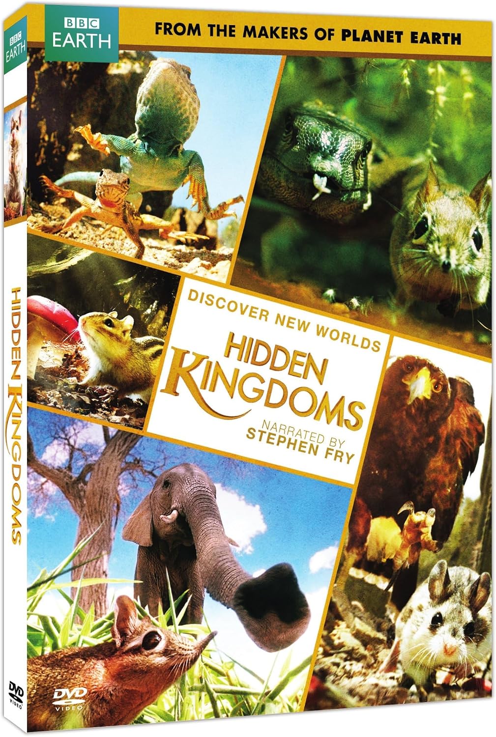 Detalle 2 de Hidden Kingdoms 29086783 Nature Documentary DVD, NTSC, 3-Hour Runtime