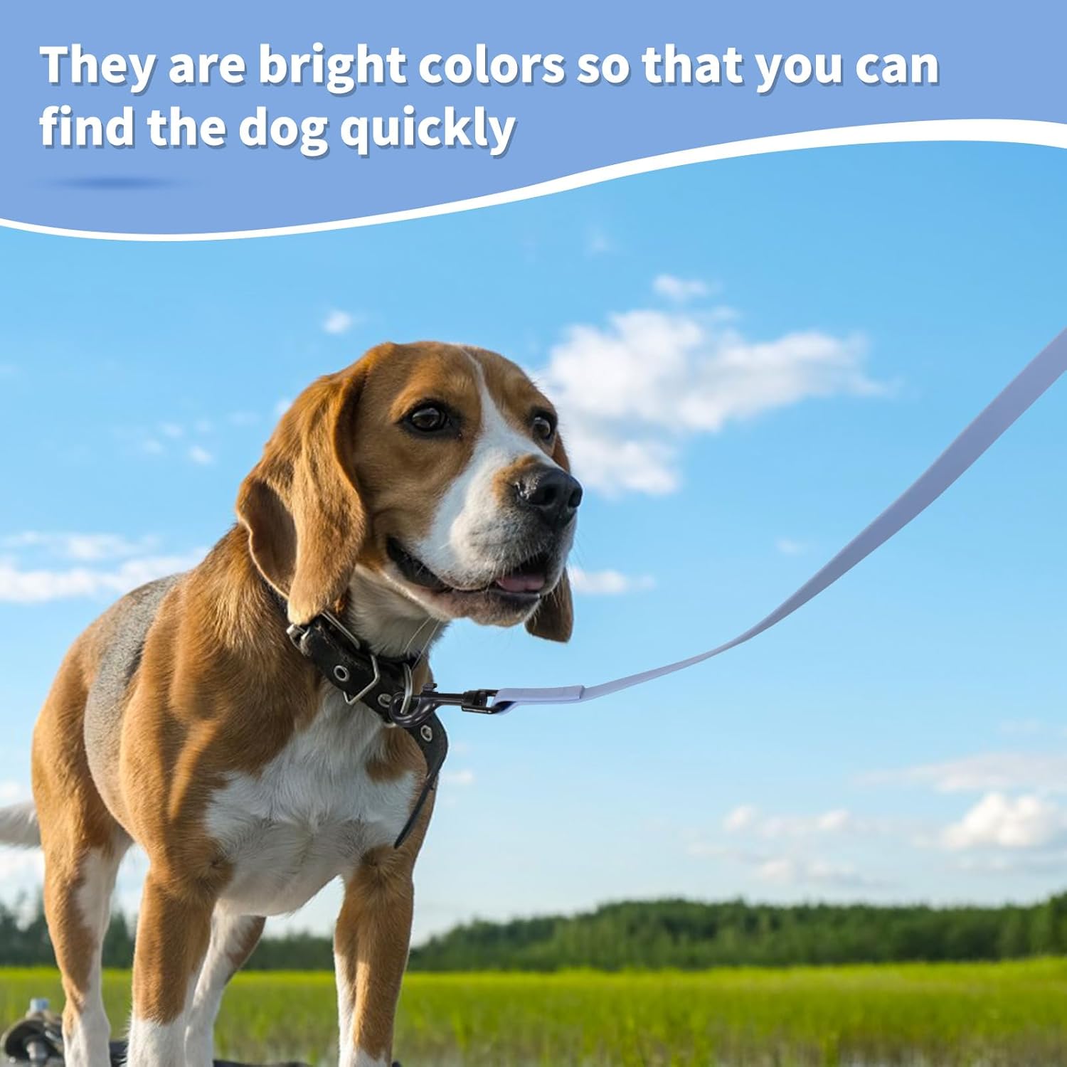 Thumbnail 1 de HSIGIO Training Lead for Dogs: 20m Waterproof Long Line with Padded Handle