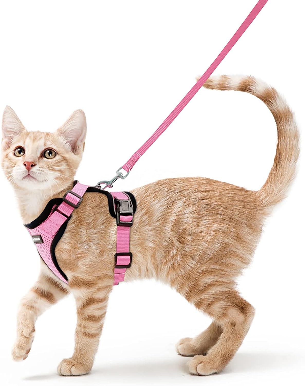 Detalle de Rabbitgoo Harnais Chat Petit Chien et Laisse – XS Rose, Réglable et Réfléchissant