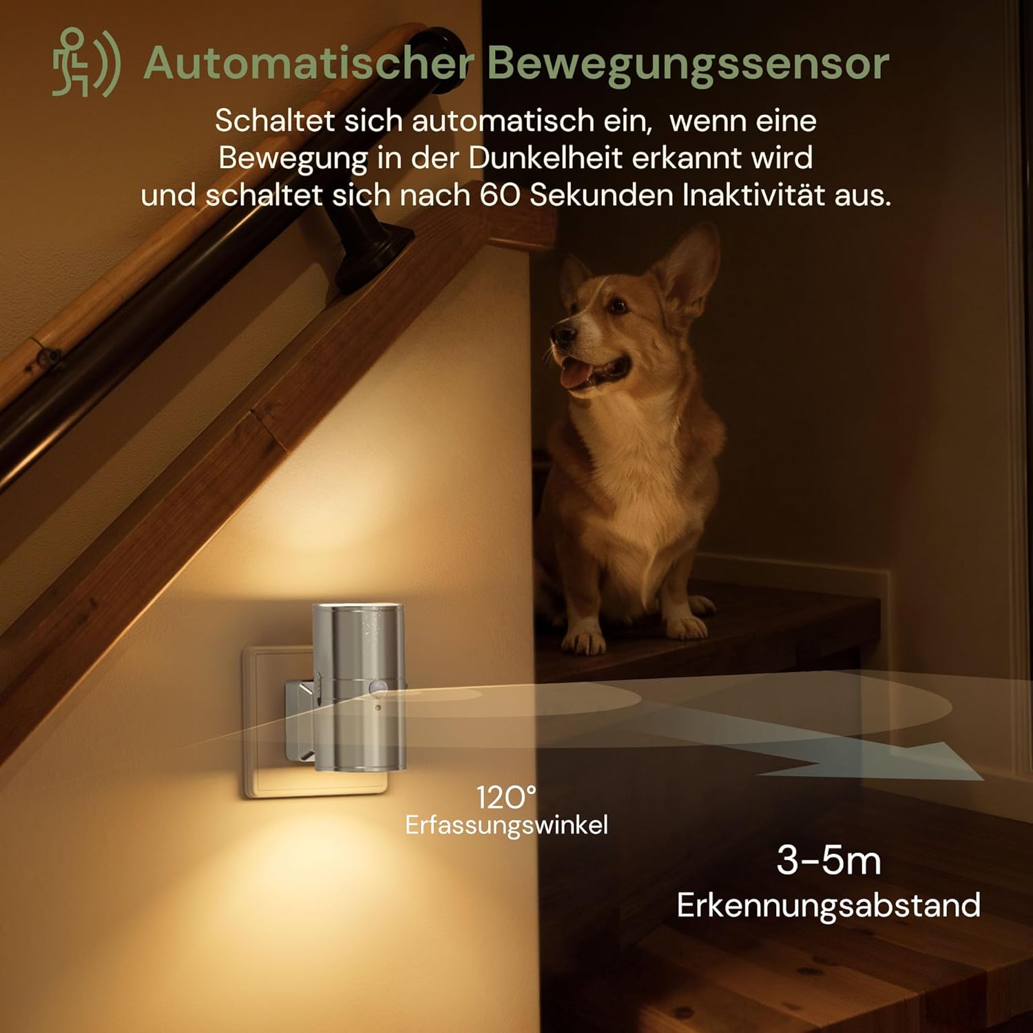 Thumbnail 1 de LOHAS-LED Nachtlicht mit Bewegungsmelder – 0–100 lm, warmweiß, 1-W-Plug-in