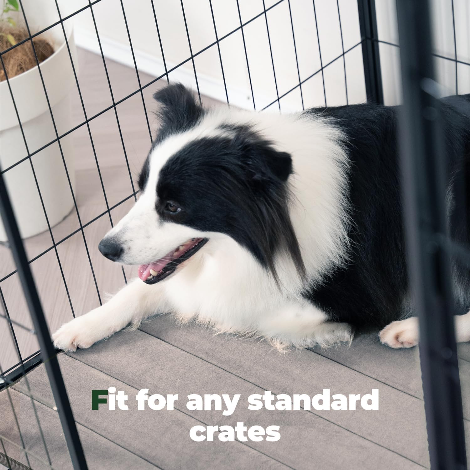 Detalle de BALANCE Dog Crate Pad (OEKO-TEX certified fabric) — washable, water-resistant foam crate mat for X-large dogs